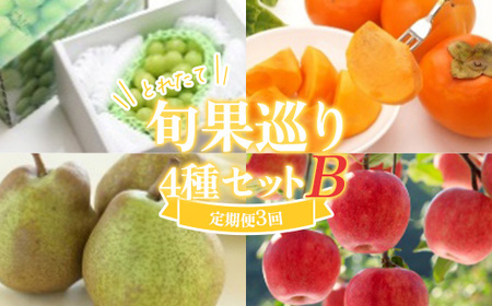 《令和8年産先行受付》≪数量限定 期間限定≫とれたて旬果巡り4種セットB シャインマスカット 庄内柿とラ・フランス サンふじりんご 定期便【全3回】 FSY-2642