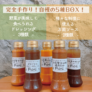 【野菜が美味しく食べれるドレッシング３種】＆【様々な料理に使える万能ソース２種】詰め合わせ(DE-5）