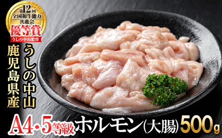 うしの中山 ホルモン(大腸)500g(500g×1袋) 黒毛和牛 和牛 肉 牛肉 国産 九州産 鹿児島県産 ホルモン 焼肉 日本一 p9-028
