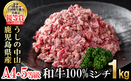 和牛100%ミンチ1kg(500g×2袋) 黒毛和牛 和牛 肉 牛肉 国産 九州産 鹿児島県産 ミンチ ひき肉 ハンバーグ 日本一 a1-132
