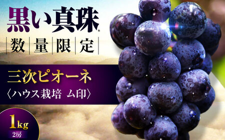 三次ピオーネ ハウス栽培 ム印 1kg（2房）[APBD001] ピオーネ