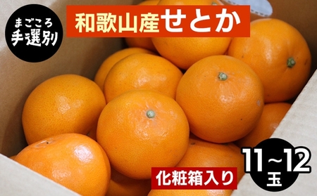 【先行予約】【まごころ手選別】和歌山県産 せとか 化粧箱 約3kg（11～12玉）秀品 L～3Lサイズ混合 柑橘	