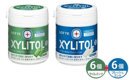 ロッテ キシリトールガム ライムミント フレッシュミント 12個セット | ロッテ ガム