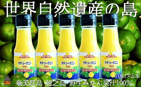 ～野生の島みかんの味～徳之島のヤマ・シークニン果汁（70ml×5本） ( 調味料 柑橘 果物 薬味 果汁 ドレッシング 野生みかん ジュース ヤマシークニン みかん 奄美 鹿児島 鍋 焼き魚 料理 お酒 焼酎 酸味 美味しい ダイキチ食品 )