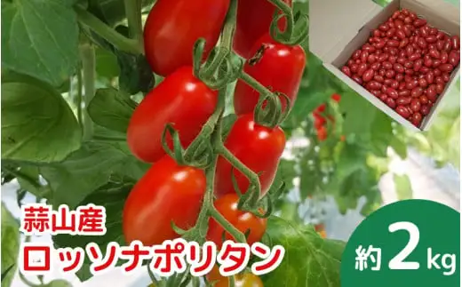 亮麻農園　イタリアントマト「ロッソナポリタン」2kg【rmne002-02】