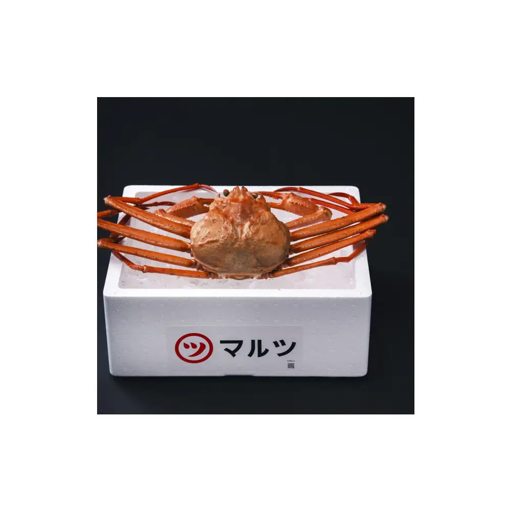 ＜土日祝着※指定日不可＞蟹屋の釜茹で紅ずわい蟹(特大・1枚)