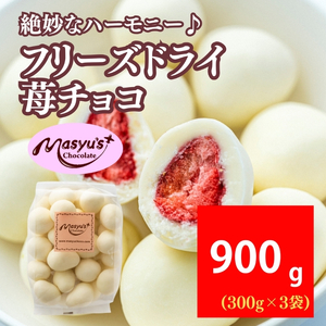 フリーズドライ苺チョコ 900g 300gx3袋 4月～10月発送 チョコレート チョコ スイーツ お菓子 おかし いちご ホワイトチョコ ギフト プレゼント 兵庫県 伊丹市