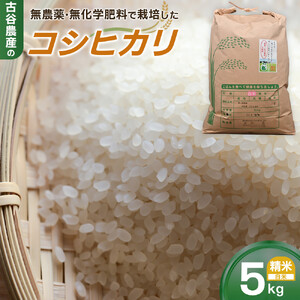 【令和7年産米】古谷農産の無農薬・無化学肥料で栽培したコシヒカリ（精米5キロ） ｜米 コメ  白米 5kg コシヒカリ こしひかり 農家直送 産地直送 産直