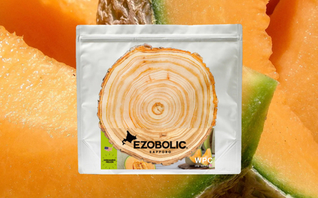 【北海道メロン風味】 EZOBOLICプロテイン 1kg プロテイン LG