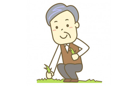 いせはら安心お助け隊！草むしりサービス2時間 [1019]