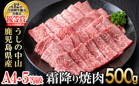 ＜A4・A5等級＞鹿児島県産黒毛和牛 うしの中山 霜降り焼肉用 500g 黒毛和牛 和牛 肉 牛肉 国産 九州産 鹿児島県産 焼肉 霜降り 日本一 b4-014
