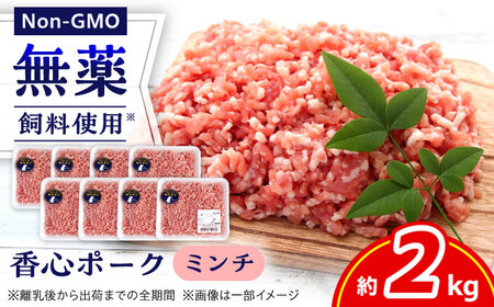 『香心ポーク』ミンチ 約250g×8パック豚肉ミンチ[AYCK004]