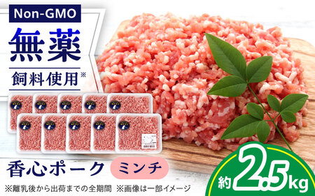 『香心ポーク』ミンチ 約250g×10パック 豚肉ミンチ[AYCK005]