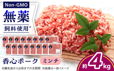 『香心ポーク』ミンチ 約250g×16パック 豚肉ミンチ[AYCK012]