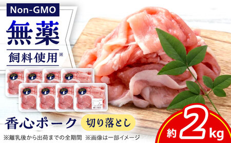 『香心ポーク』切り落とし 約250g×8パック 豚肉切り落とし[AYCK016]