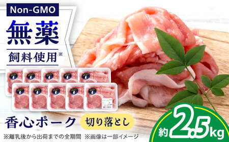『香心ポーク』切り落とし 約250g×10パック 豚肉切り落とし[AYCK017]