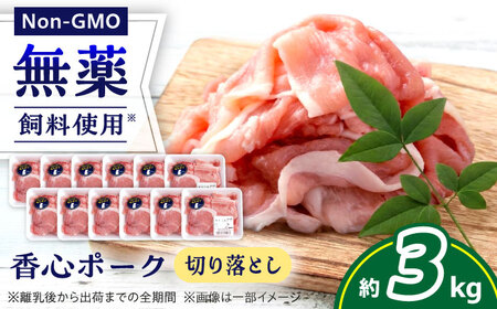 『香心ポーク』切り落とし 約250g×12パック 豚肉切り落とし[AYCK019]