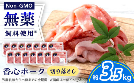 『香心ポーク』切り落とし 約250g×14パック 豚肉切り落とし[AYCK021]