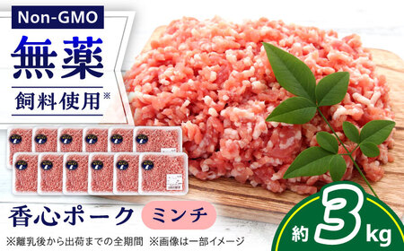 『香心ポーク』ミンチ 約250g×12パック 豚肉ミンチ[AYCK023]