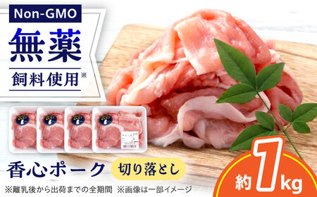 『香心ポーク』切り落とし 約250g×4パック 豚肉切り落とし[AYCK024]