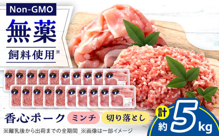 『香心ポーク』切り落とし ミンチ セット  各約250g×10パック（計約5kg）豚肉切り落とし[AYCK028]