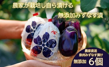 水なす漬け6個セット