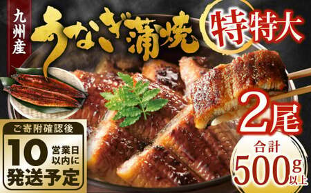 九州産 うなぎ蒲焼 特特大2尾 (1尾あたり250～266g) 合計500g以上【順次発送】