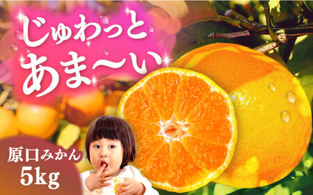 【2026年11月より発送】原口みかん 5kg（箱込み） 長与町/岩永農園[EAZ004] 