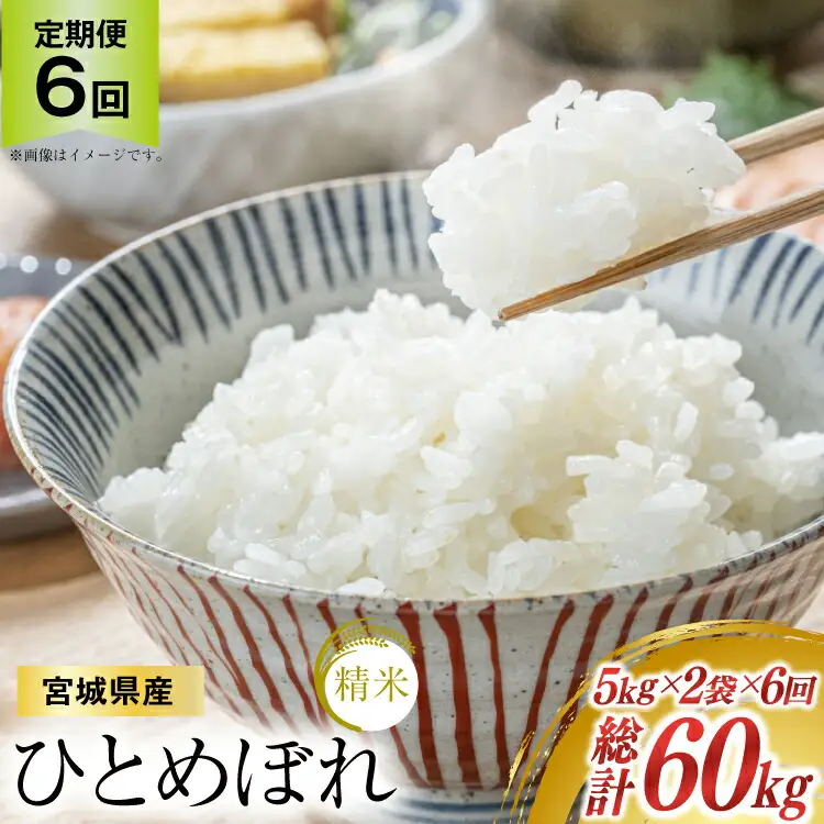 6回 定期便 米 宮城県産 ひとめぼれ 10kg (5kg ×2袋) ×6回 総計 60kg [菊武商店 宮城県 気仙沼市 20565602]
