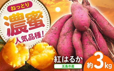 【2026年11月より発送】島の元気なさつまいも!ねっとり甘い『紅はるか』3kg 五島市/あわたに農園[PGO001]
