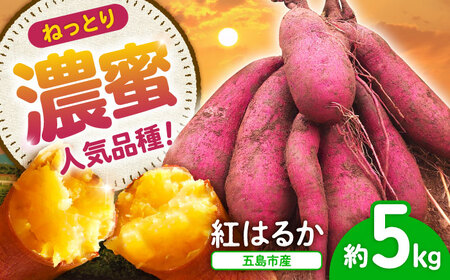 【2026年11月より発送】島の元気なさつまいも!ねっとり甘い『紅はるか』5kg 五島市/あわたに農園[PGO002]