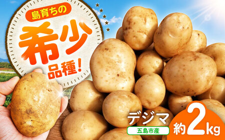 【2026年6月より発送】島の元気なじゃがいも!旨味抜群の『デジマ』2kg 五島市/あわたに農園[PGO003]