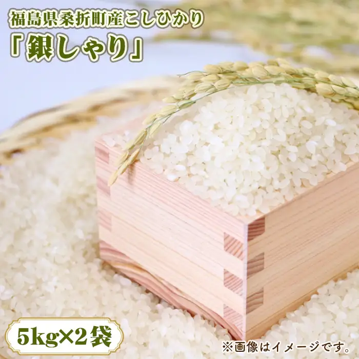 福島県桑折町産こしひかり「銀しゃり」　10kg ／ 令和7年 新米 米 お米 こめ コメ 精米 白米 ご飯 国産米 10キロ コシヒカリ こしひかり 甘み 粘り 香り ツヤ おすすめ 人気 おいしい お取り寄せ 産地直送 産直 桑折町産 睦合産 福島県産 特産 福島県 No.252