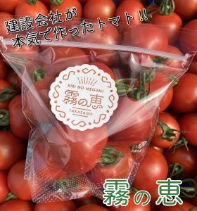 霧の恵(ミディトマト)　甘み・旨みのバランスがよく、口当たりの良いフルーツのような味わいのミディトマト【トマト　兵庫県　高砂市】