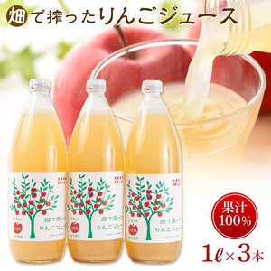 りんご ジュース 3本 × 各1000ml 大町産 箱入り 長野 信州