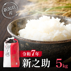 令和7年 新潟県産 特別栽培米 新之助 5kg 5キロ上越市清里区 新潟 精米 従来品種 希少 限定 送料無料