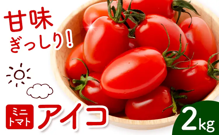 ミニトマト アイコ 約2kg ますだふぁーむ《7月上旬-11月末頃出荷》熊本県 南阿蘇村 アイコトマト 野菜 旬 夏野菜 トマト