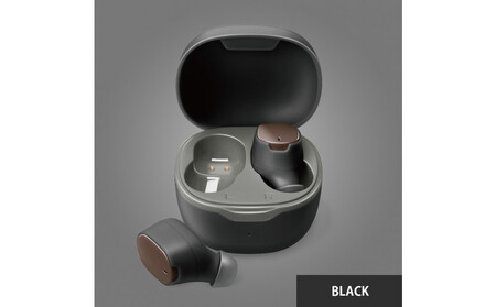 【ブラック】Bluetooth 5.3 IPX5 防滴 完全ワイヤレス ステレオイヤホン カナルタイプPG-BTE17TW AOS0001VC01
