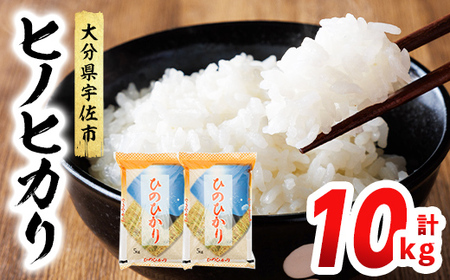 ヒノヒカリ 白米 (計10kg) お米 ごはん ご飯 ひのひかり 数量限定 【117800201】【ジョイライス大分】