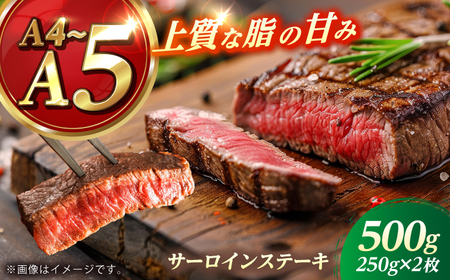 長崎和牛 サーロイン ステーキ 250g×2 【KRAZY MEAT】 A5 A4 冷凍 和牛 肉 牛肉 BBQ[RCQ003]