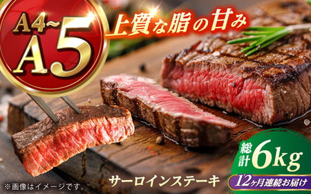 【全12回定期便】 長崎和牛 サーロイン ステーキ 250g×2 【KRAZY MEAT】 A5 A4 冷凍 和牛 肉 牛肉 BBQ[RCQ013]