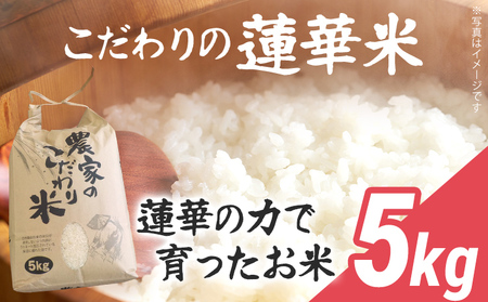 こだわりの蓮華米 米 5kg 蓮華米 れんげ米 農家直送 白米 国産米 国産 おにぎり お弁当 朝ごはん 軽食 間食 おやつ 福岡県 福岡 九州 グルメ お取り寄せ