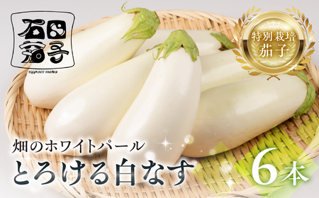 ≪先行予約≫白茄子 6本 ナス 茄子 なす なすび 白なす しろなす 白ナス 白茄子 野菜 旬 旬の野菜