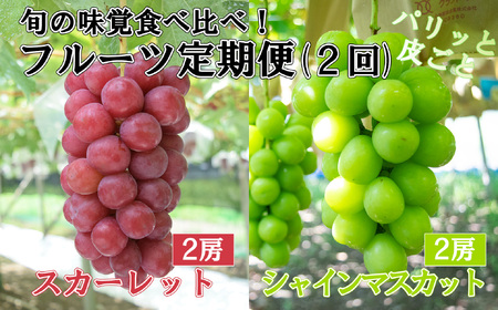 【やまなしのフルーツ定期便】シャインマスカット(緑)（２房・約１．３ｋｇ）＆スカーレット(赤)（２房・約１．４ｋｇ）食べ比べ定期便（２回発送）　ぶどう ブドウ 葡萄 食べ比べ 定期便 マスカット シャイン 赤ぶどう フルーツ 果物 くだもの 山梨 やまなし