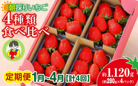 ＜定期便1月～4月＞ いちご 4種類食べ比べ 約280g×4パック 1120g 計4回 2027年 先行予約