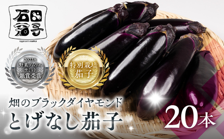 ≪先行予約≫とげなし茄子 20本 ナス 茄子 なす なすび 野菜 旬 旬の野菜 糖度 石田茄子 トゲなし