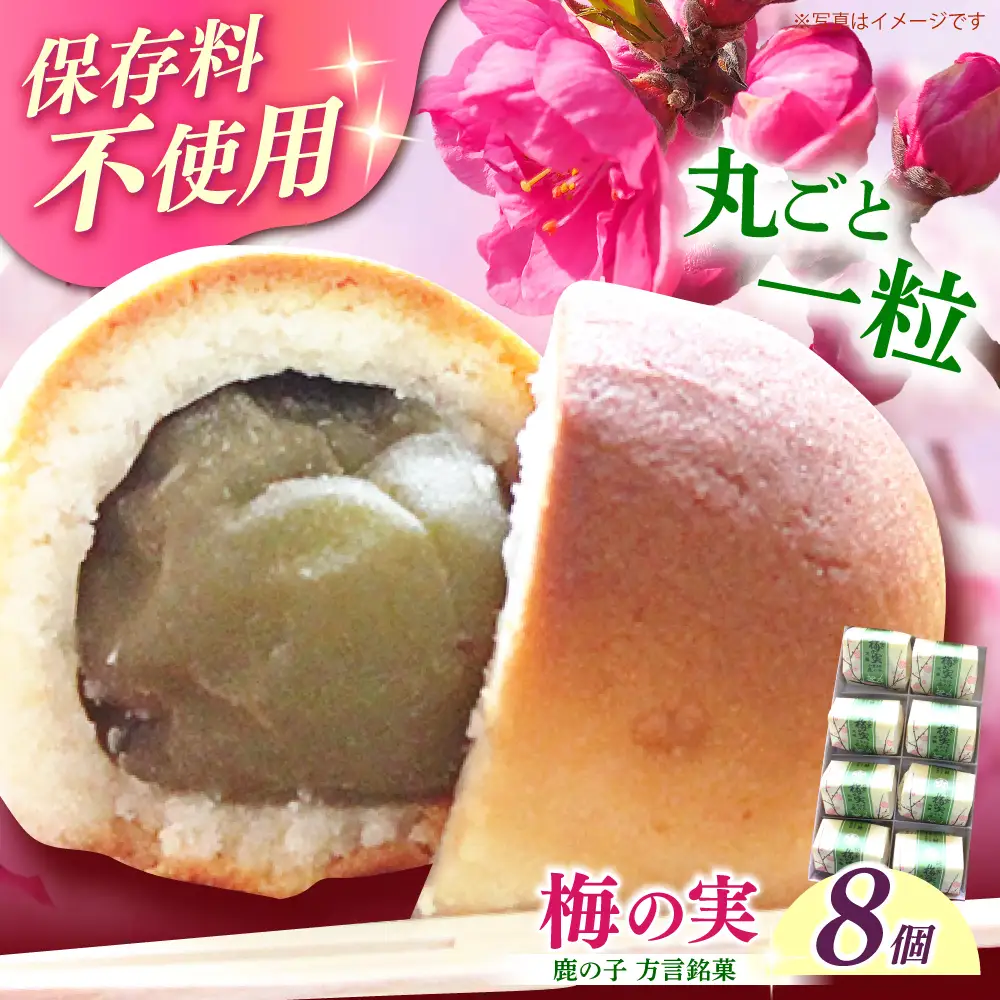【老舗の菓子屋】築上銘菓「 梅の実 」8 個 [ABAC016]