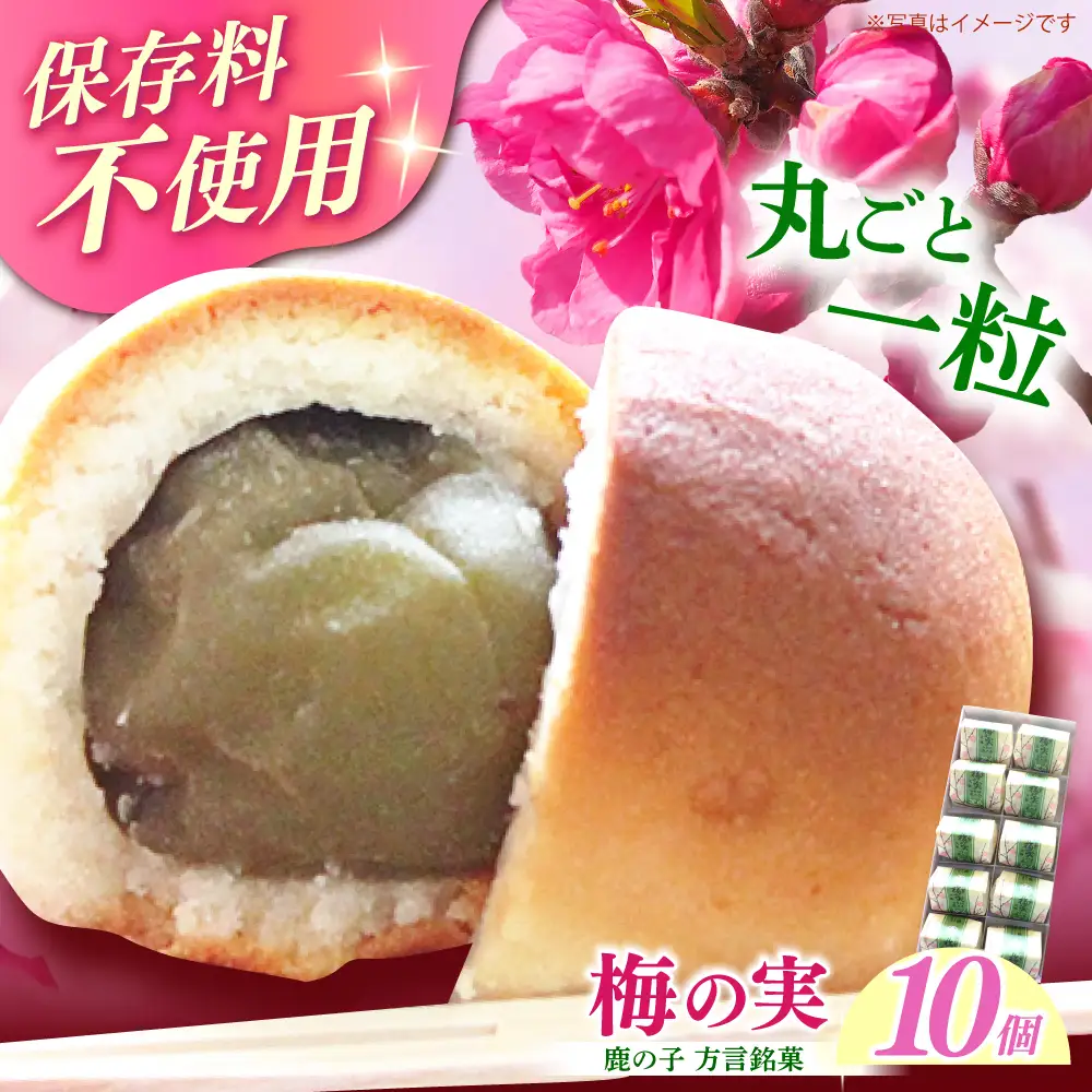 【老舗の菓子屋】築上銘菓「 梅の実 」10 個 [ABAC018]