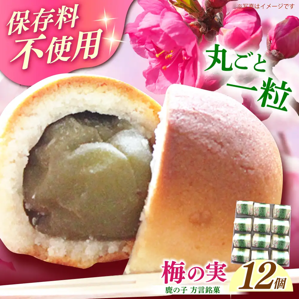 【老舗の菓子屋】築上銘菓「 梅の実 」12 個 [ABAC019]