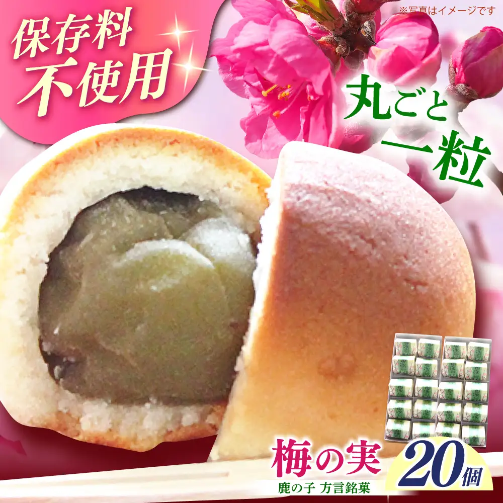 【老舗の菓子屋】築上銘菓「 梅の実 」20 個 [ABAC020]